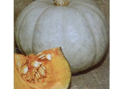 Грибовская зимняя