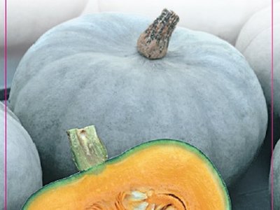 Волжская серая 92